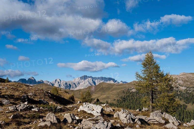 Mountain landscape in Parco Naturale Paneveggio Pale di San Martino