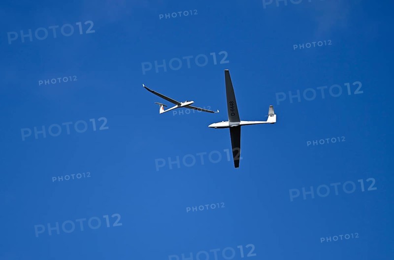 Two gliders cruising