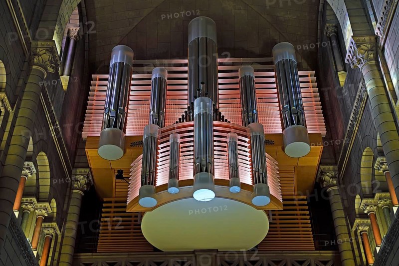 Organ
