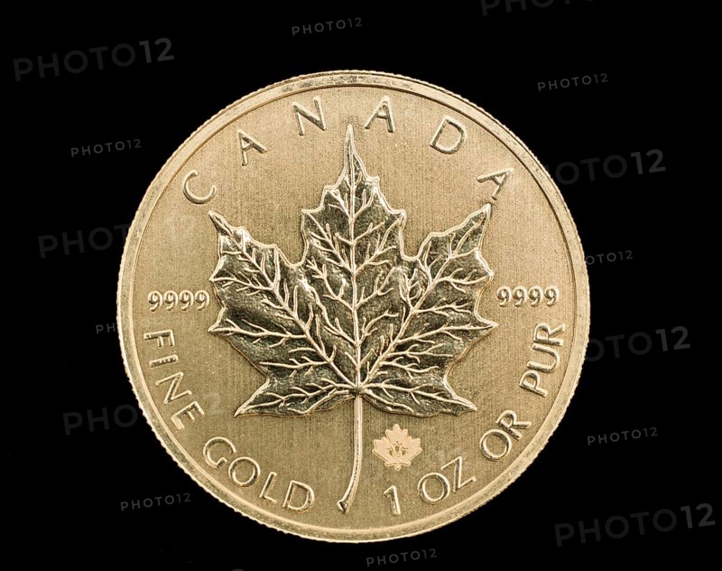 Canadian Gold Coin