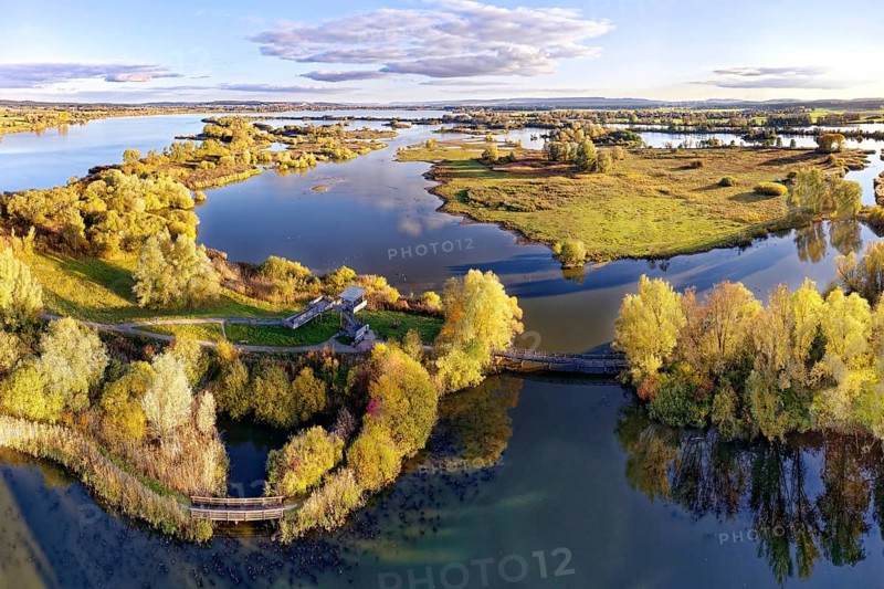 Front left Wooden bridge and observation tower on bird island