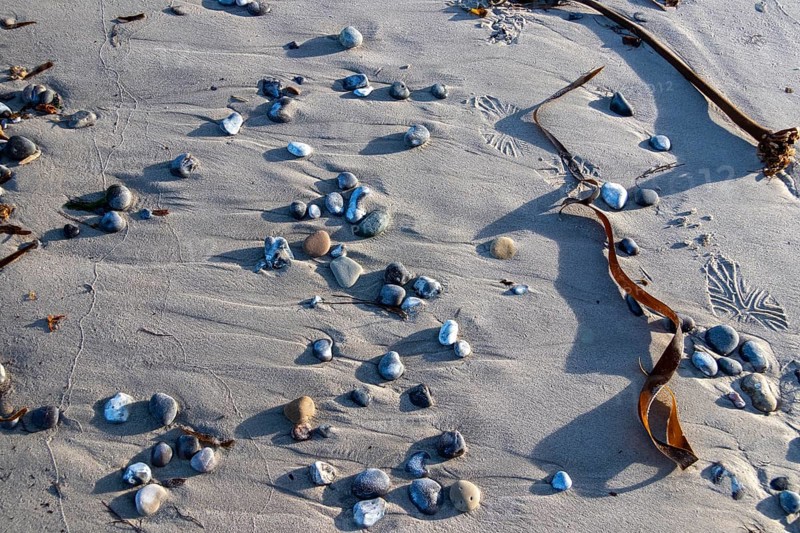 Stones and sea rod