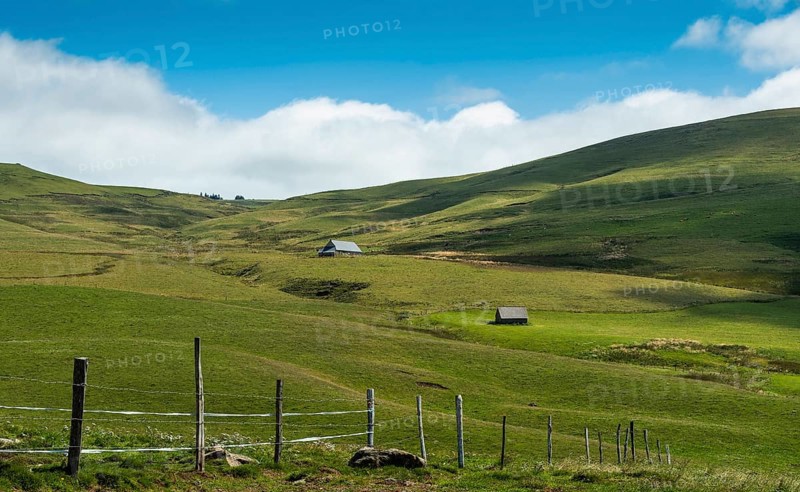 View of the Cezallier plateau