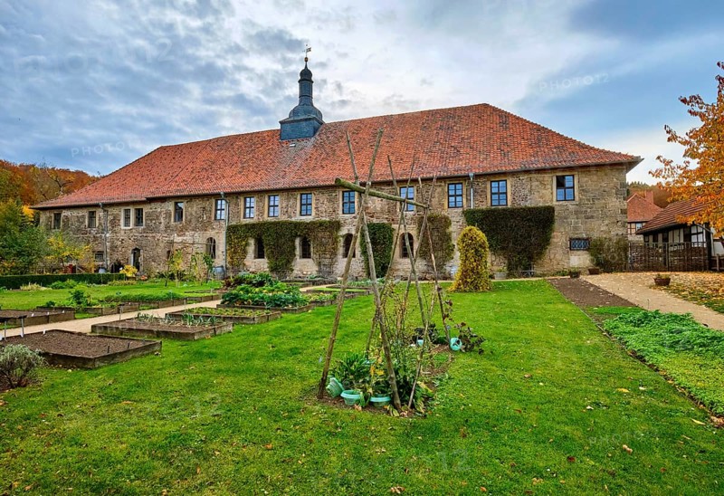 Vegetable garden