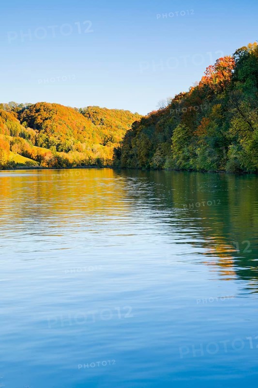 View from the riverbank near Eglisau of the Rhine fringed by colourful autumn forest