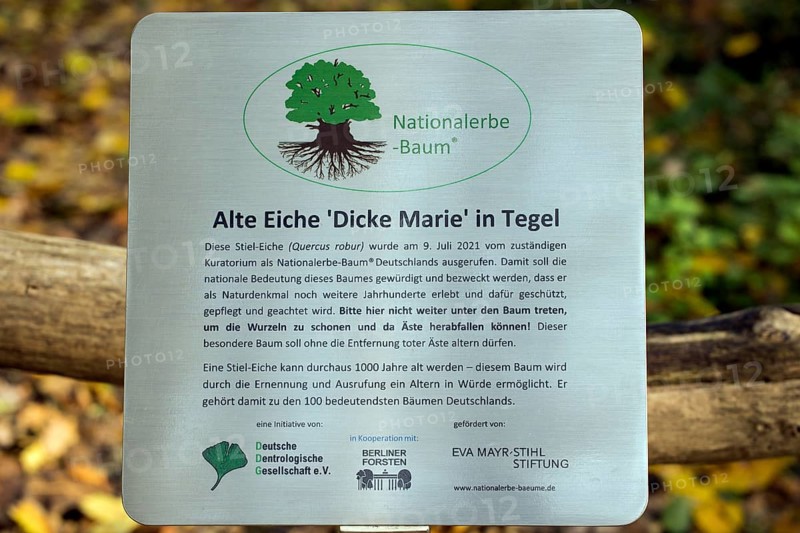 Information board for the Dicke Marie