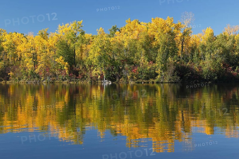 Autumn colours on Hamilton Island
