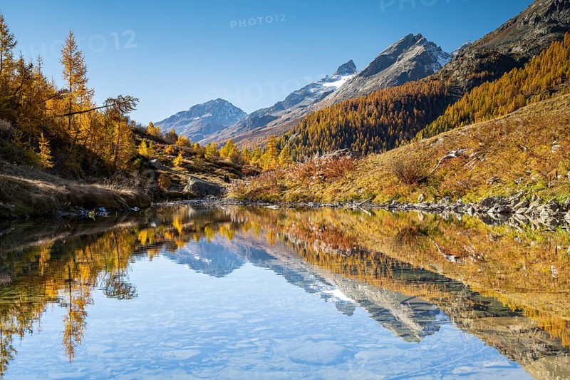 Grundsee