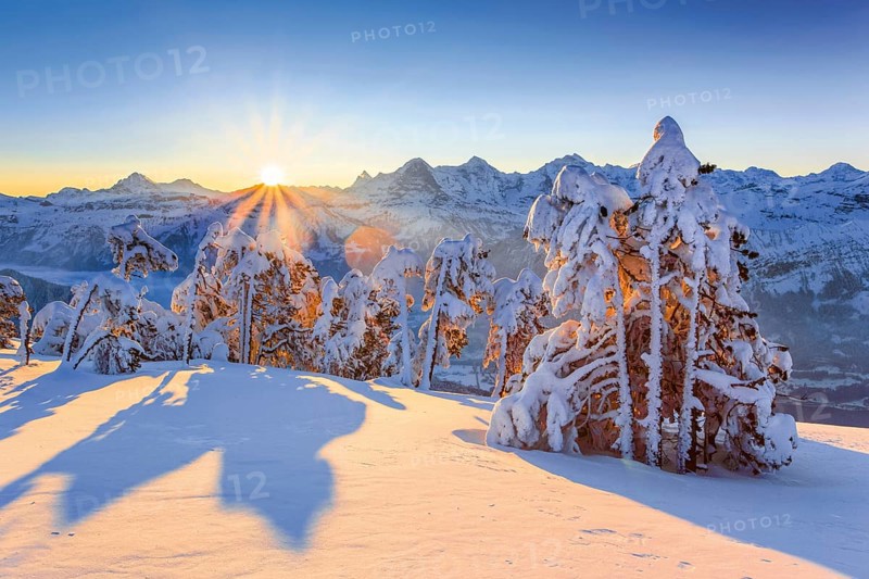 Winter view from the Niederhorn at sunrise