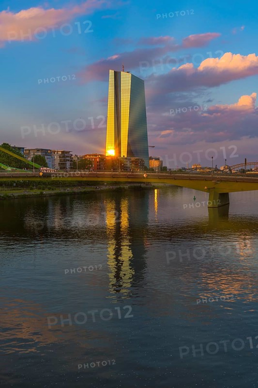 The European Central Bank