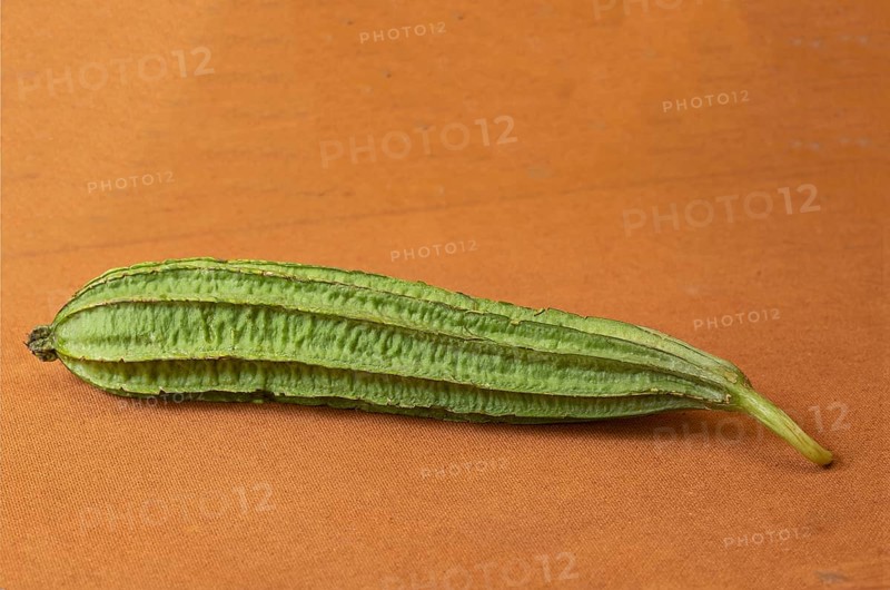 Ridge gourd also called sponge gourd