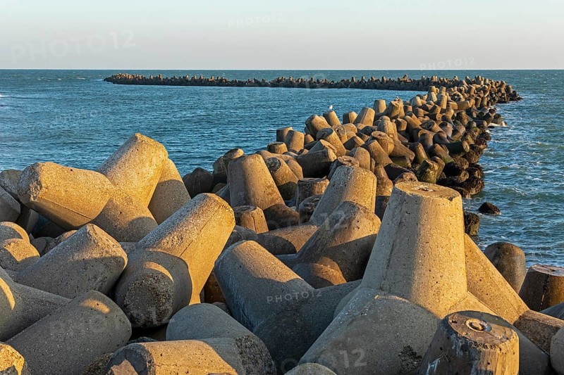 Tetrapods