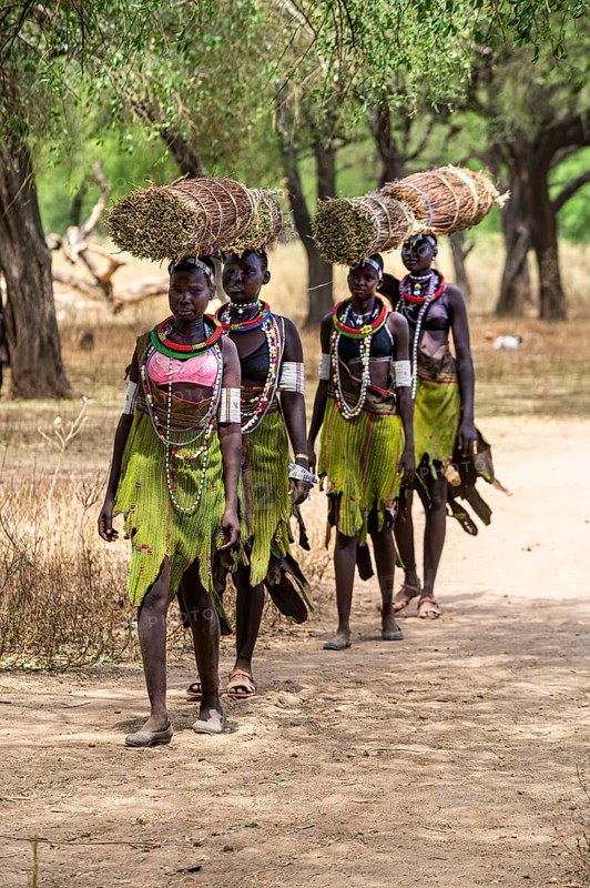 Girls with collected reeds on their heads on their way home