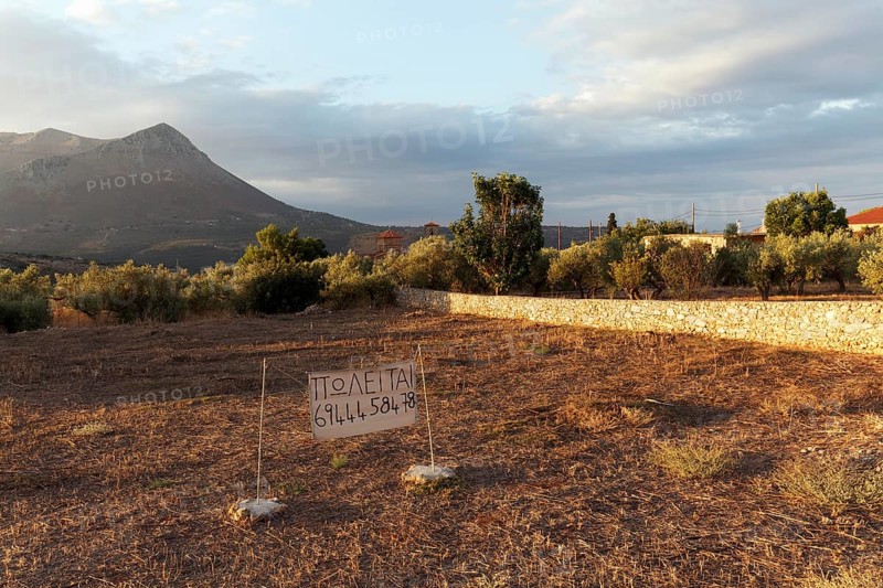 Plot for sale