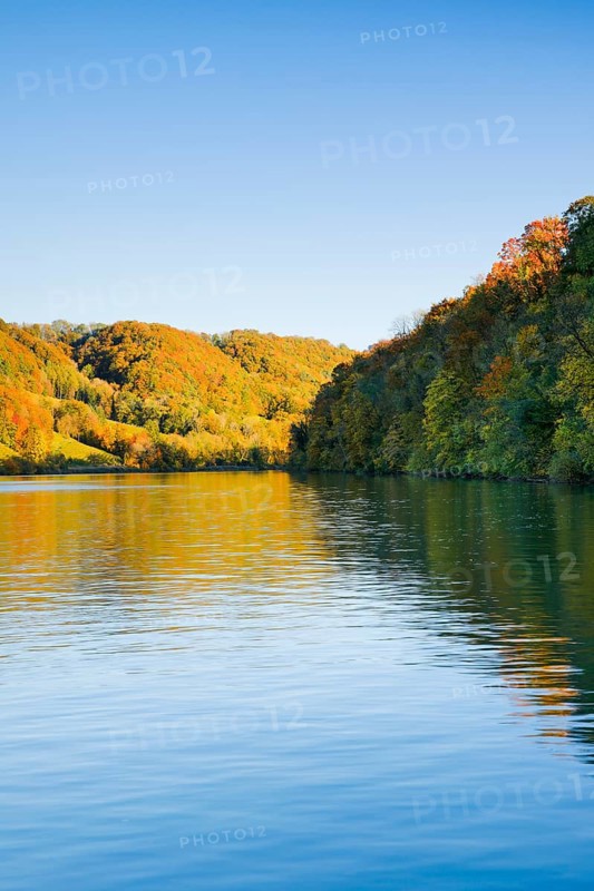 View from the riverbank near Eglisau of the Rhine fringed by colourful autumn forest