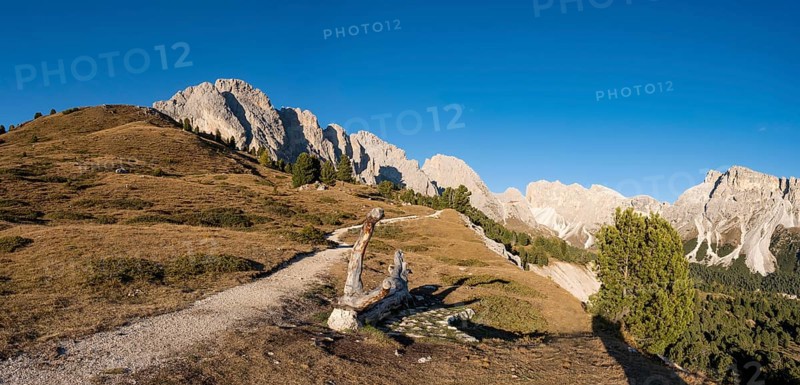 Hiking trail