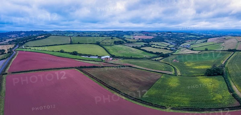 Panorama of Fields over Labrador Bay and River Teign from a drone