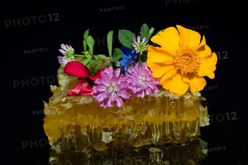 Fresh honeycomb with blossom honey