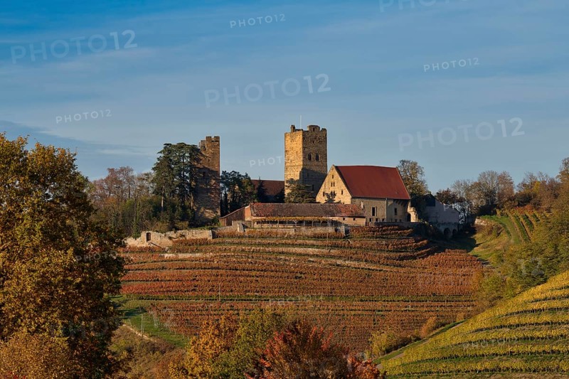 Neipperg Castle in autumn