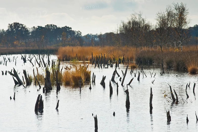 Autumn moorland