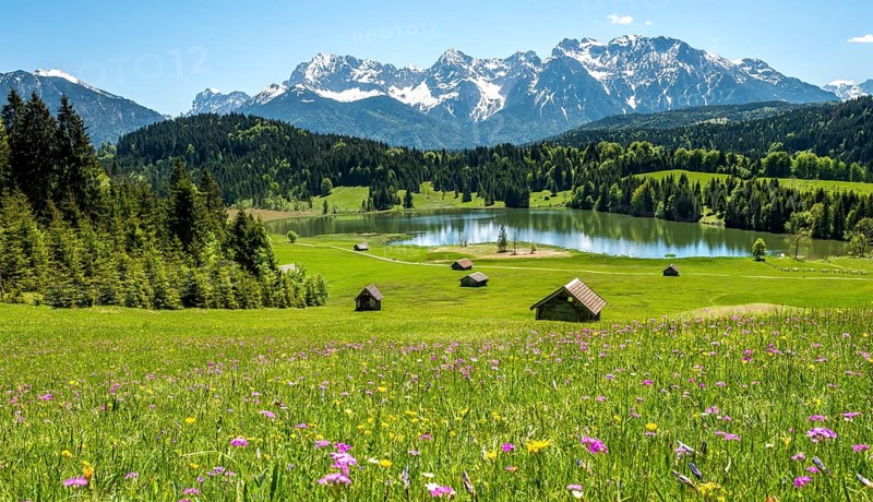Flower meadow with hay barn at Geroldsee