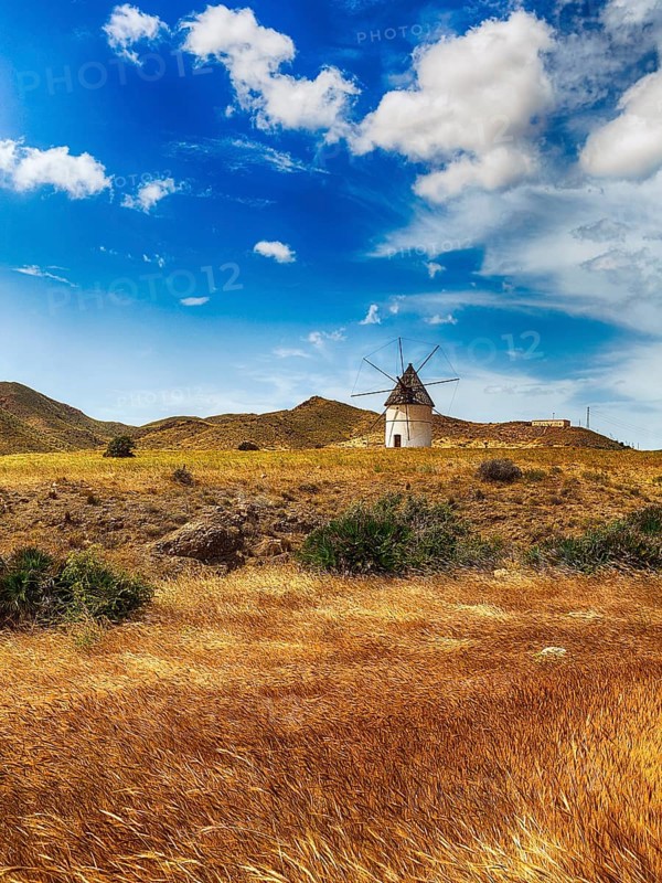 Windmill in barren landscape
