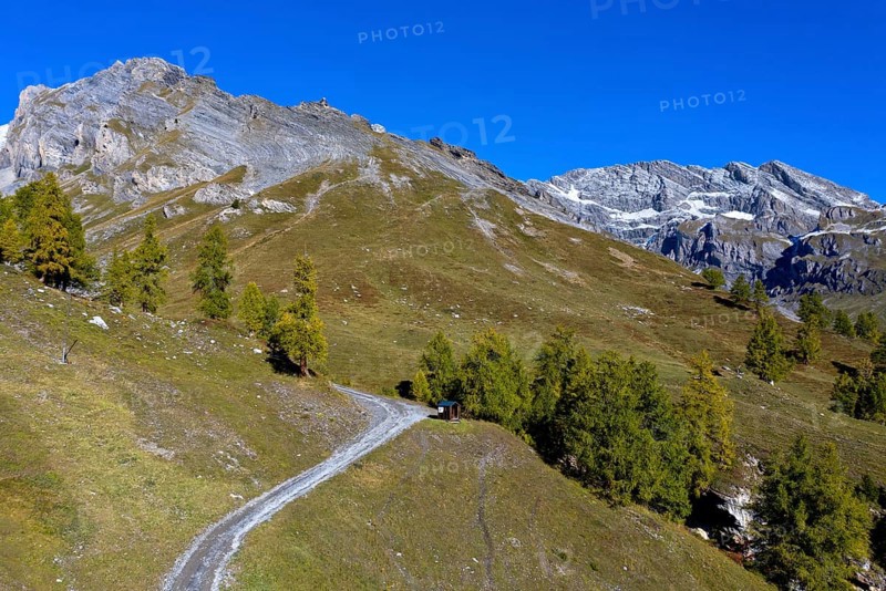 Hiking trail in the Ovronnaz hiking area