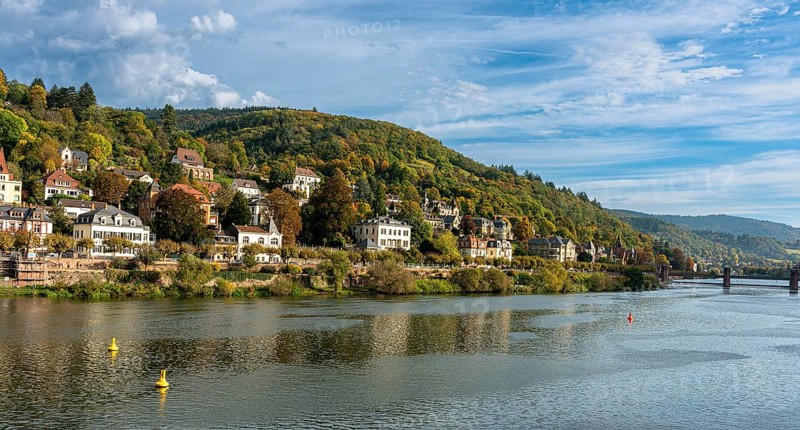 Old villas on the banks of the Neckar in Heidelberg