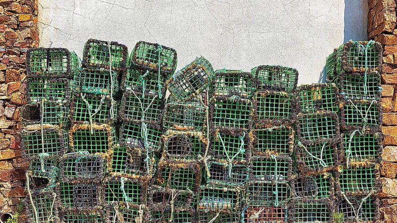 Lobster traps