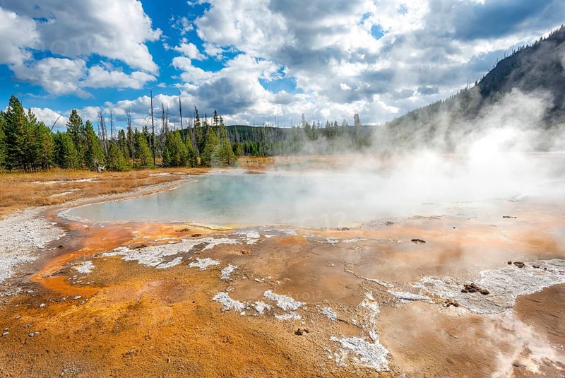 Black Opal Pool