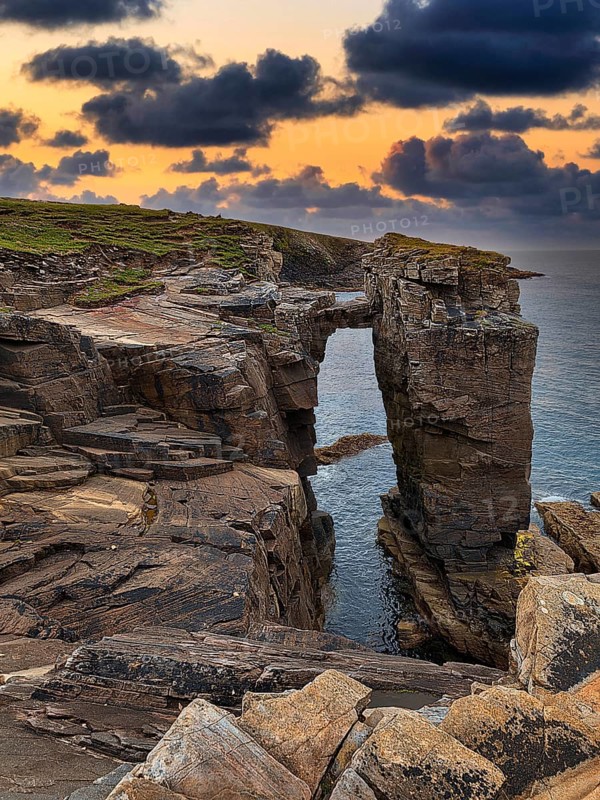 Rock Needle with Bridge