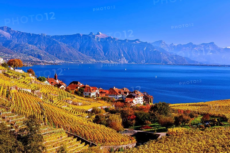 Village view of Rivaz with autumn-coloured vineyards