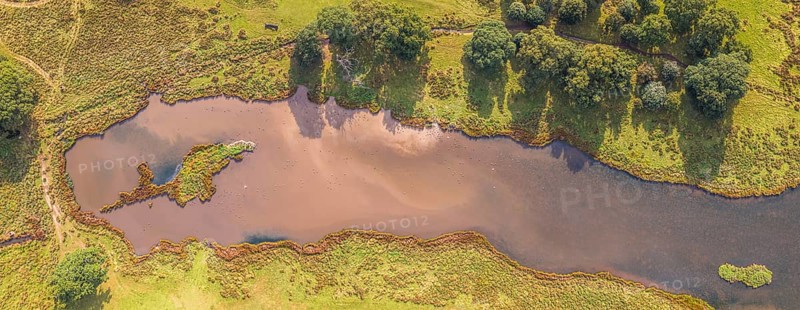 Panorama of Pond in Powderham Park from a drone