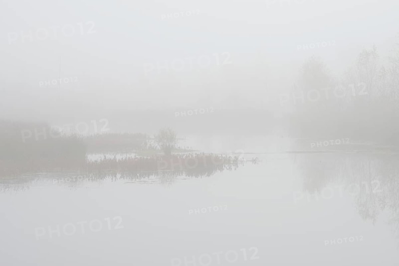 Fog in the Moor