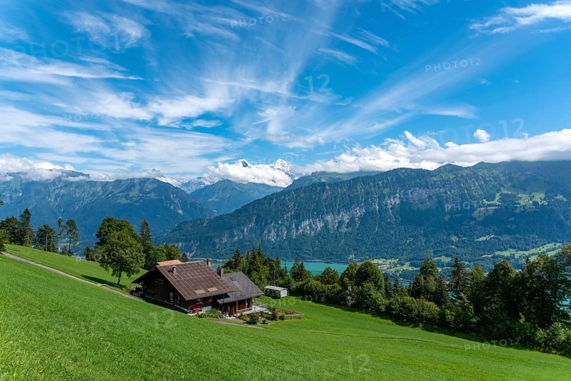 Landscape with Lake Thun