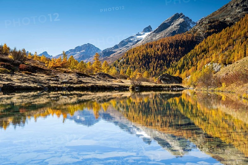 Grundsee