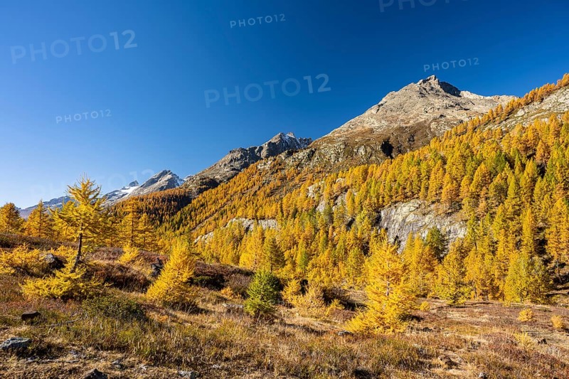 Fafleralp in the Loetschental