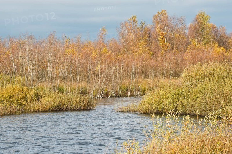Autumn moorland