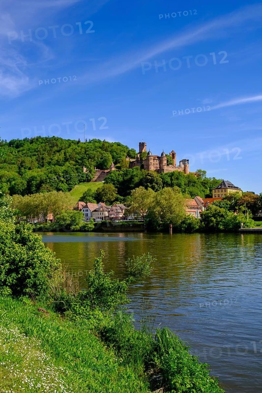 Old town with castle over the Main