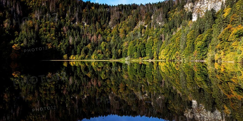 Reflection of the water surface at Feldsee