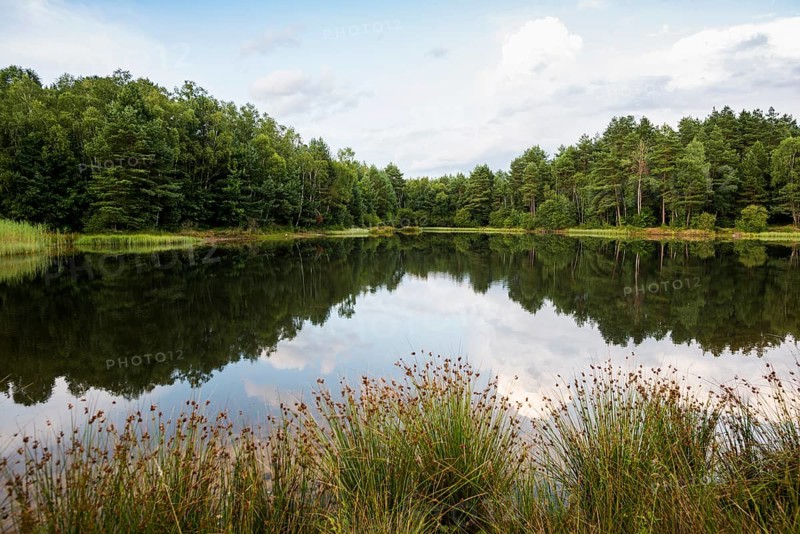 Lake with water reflection