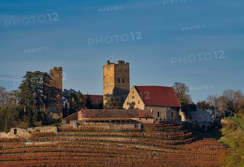 Neipperg Castle in autumn