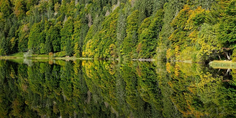 Reflection of the water surface at Feldsee