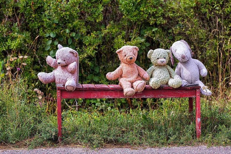 Four different coloured stuffed animals