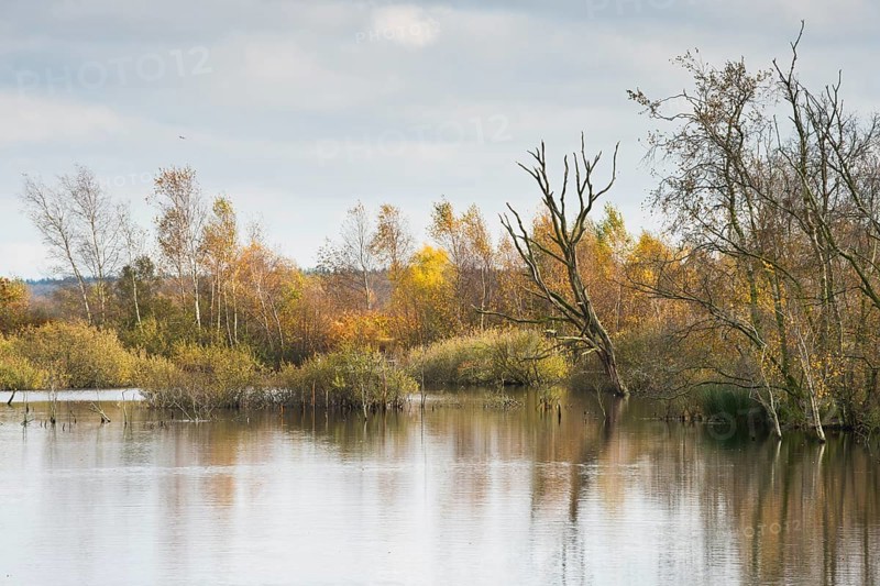 Autumn moorland