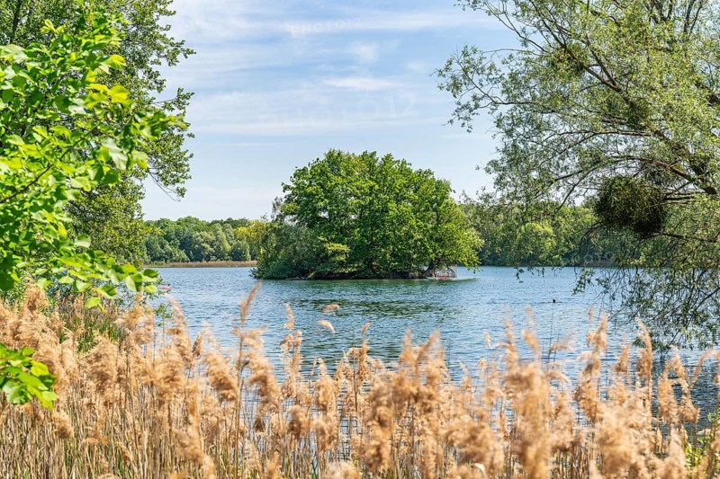 Island in Nymphensee