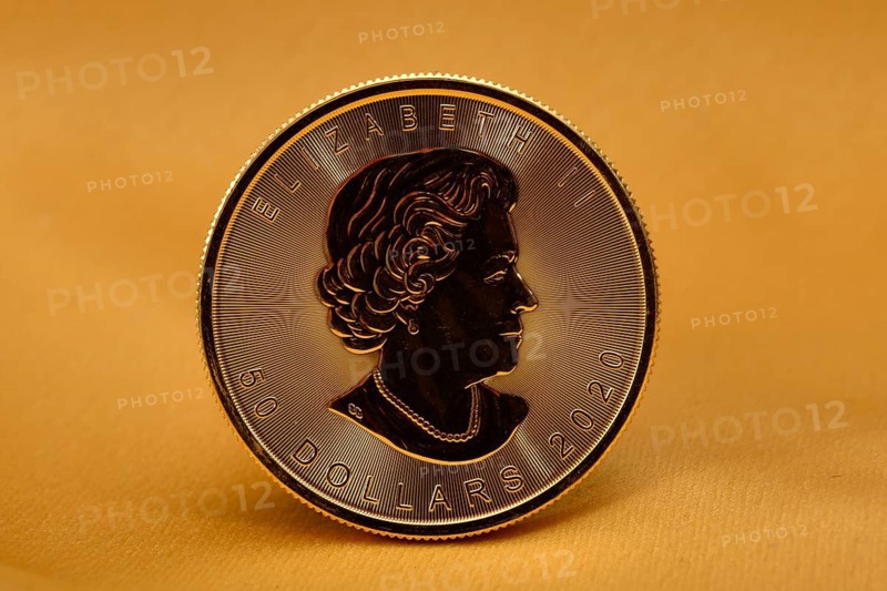 Physical Gold Coin 1 oz Gold Maple Leaf Obverse Queen Elizabeth II