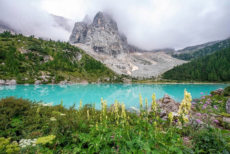 Flowers at the turquoise green mountain lake