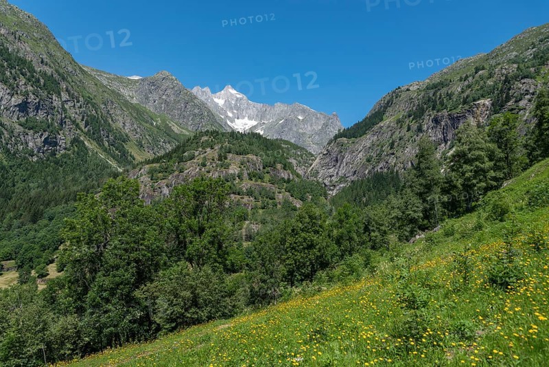 Landscape with the Wannenhorn from the hiking trail between Bellwald and Aspi-Titter suspension bridge