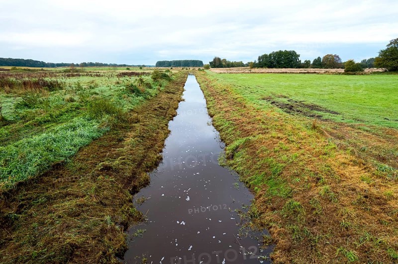 Suedradde